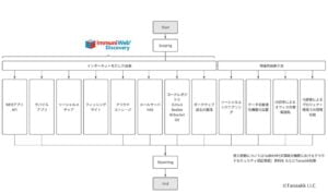 ImmuniWeb Discovery